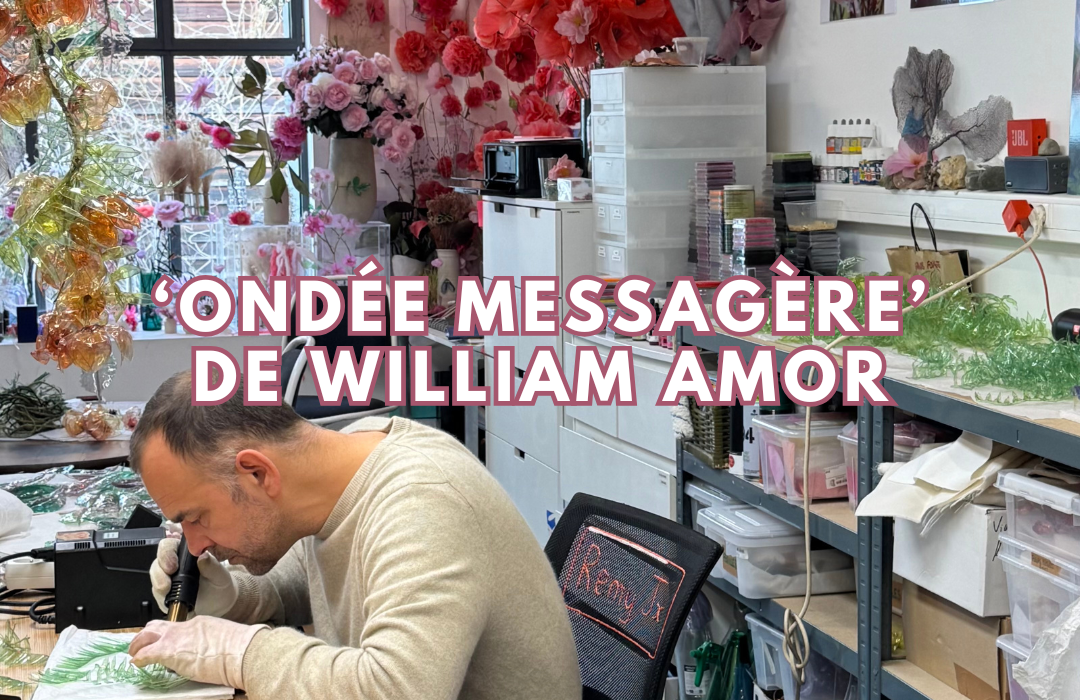 Passage du havre william amor