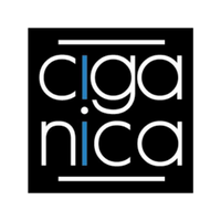 Boutique Ciganica : Expert en Cigarette Électronique au Centre Commercial Modo à Moisselles
